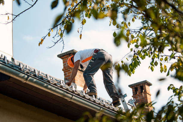 Best Roof Repair Services  in Bellows Falls, VT