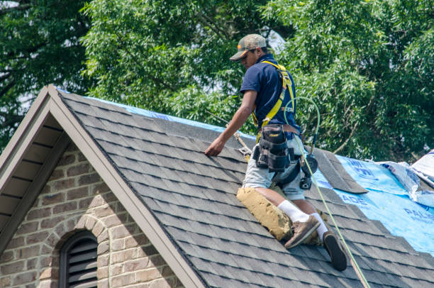 Best Roof Gutter Cleaning  in Bellows Falls, VT